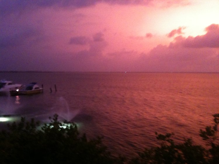 257657_10150269208970659_2266302_o