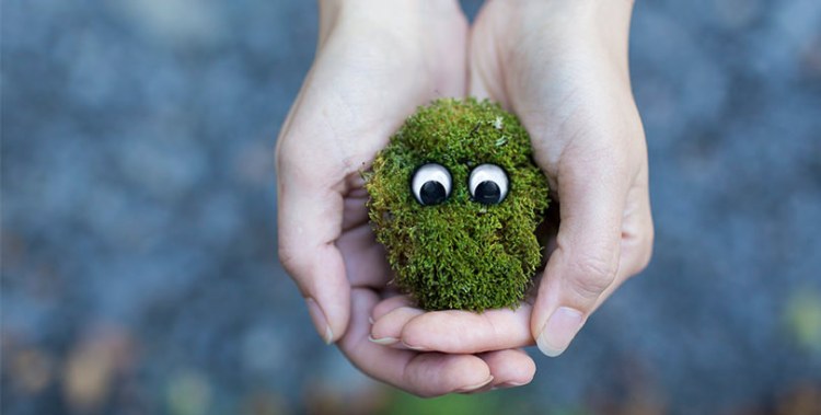 Cómo cuidar el medio ambiente | Seguridad&nbsp;Industrial