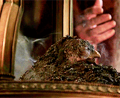 618d3b10-0375-0132-0758-0eae5eefacd9